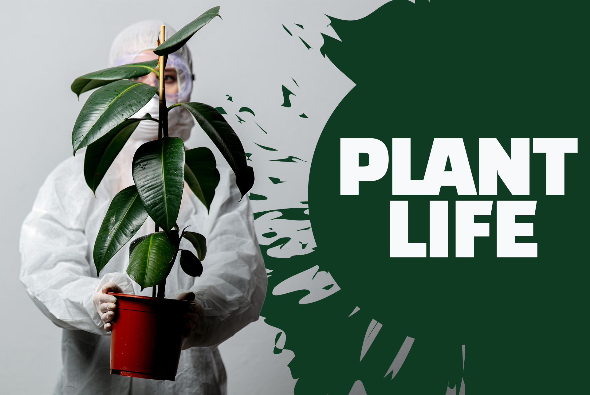 Plant Life