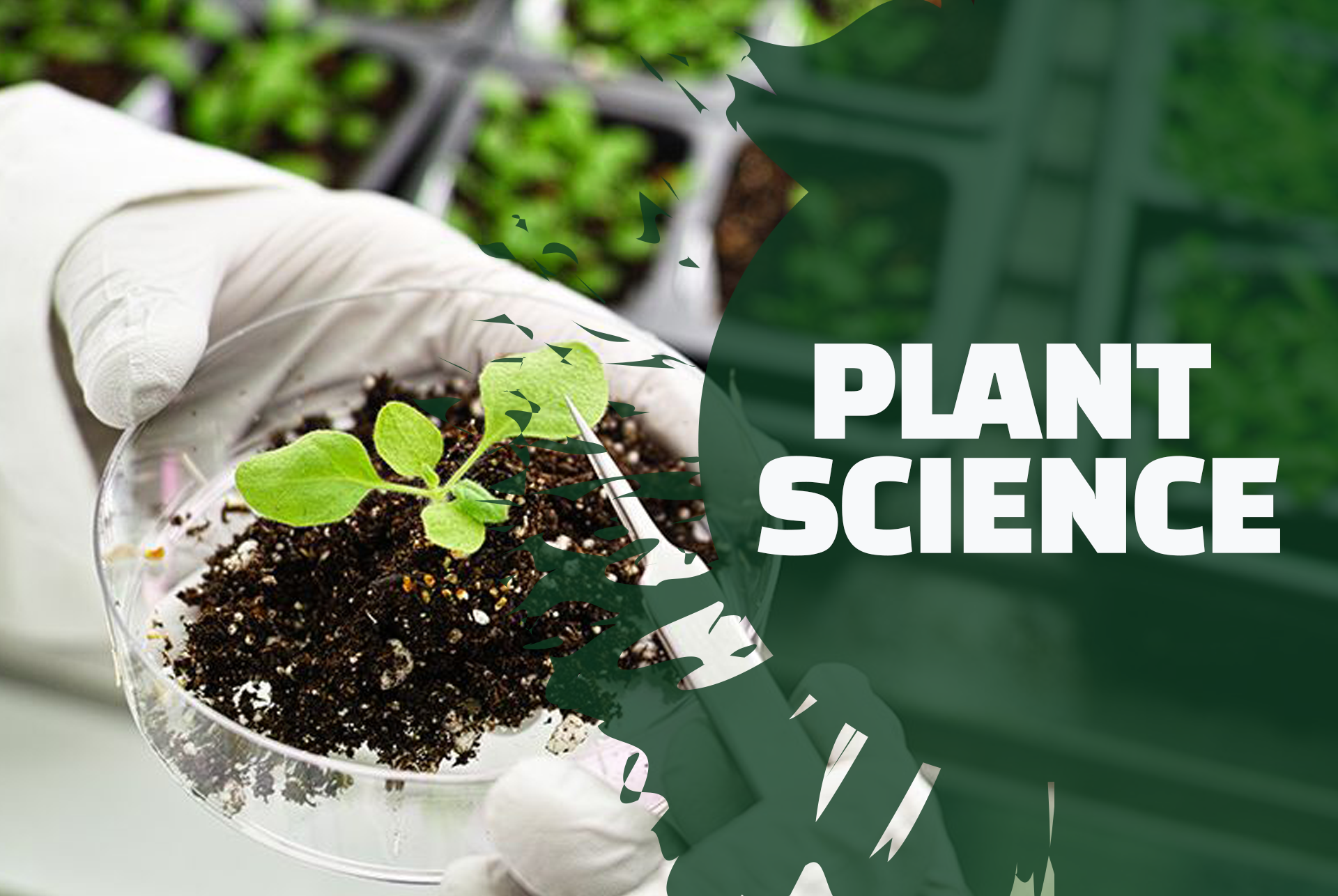 Green plant growing in soil, accompanied by the text 'Plant Science' on a dark background.